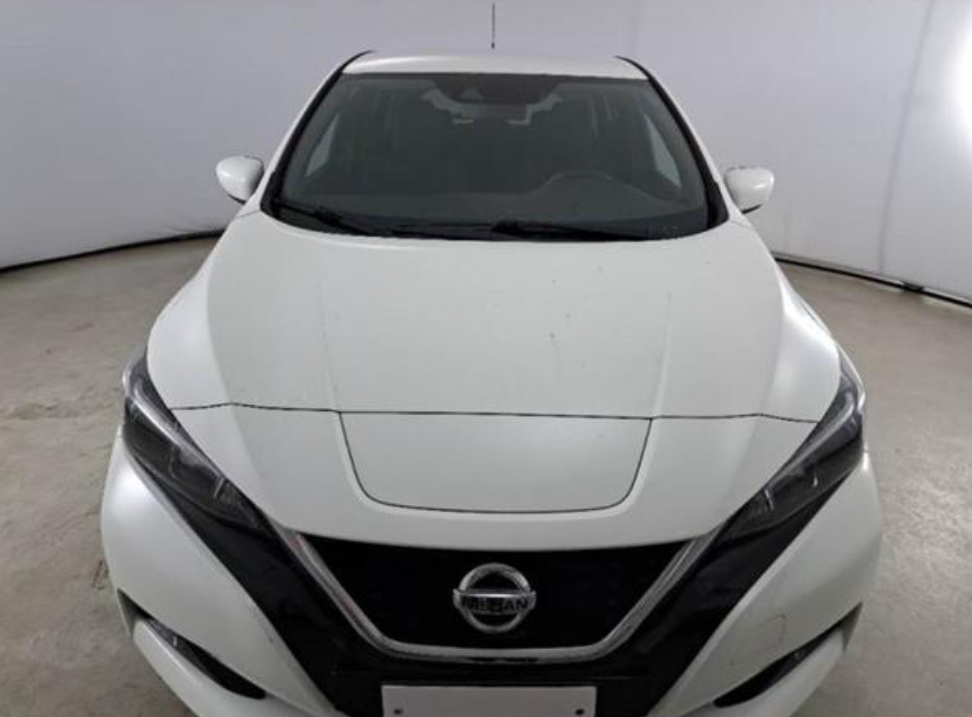 Nissan Leaf 2019