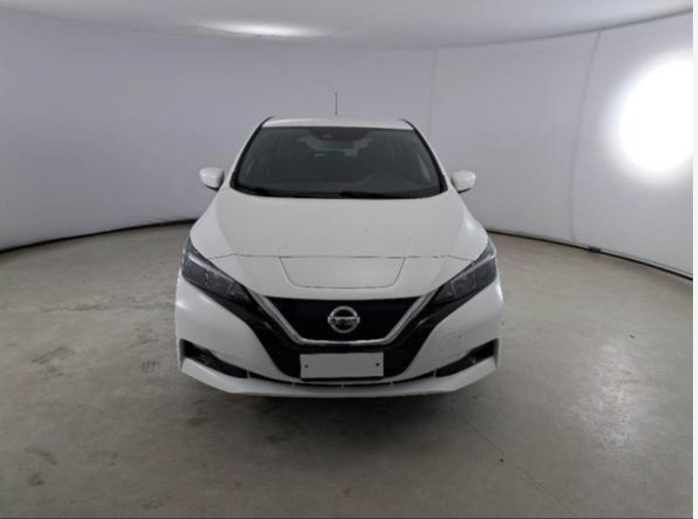 Nissan Leaf 2019